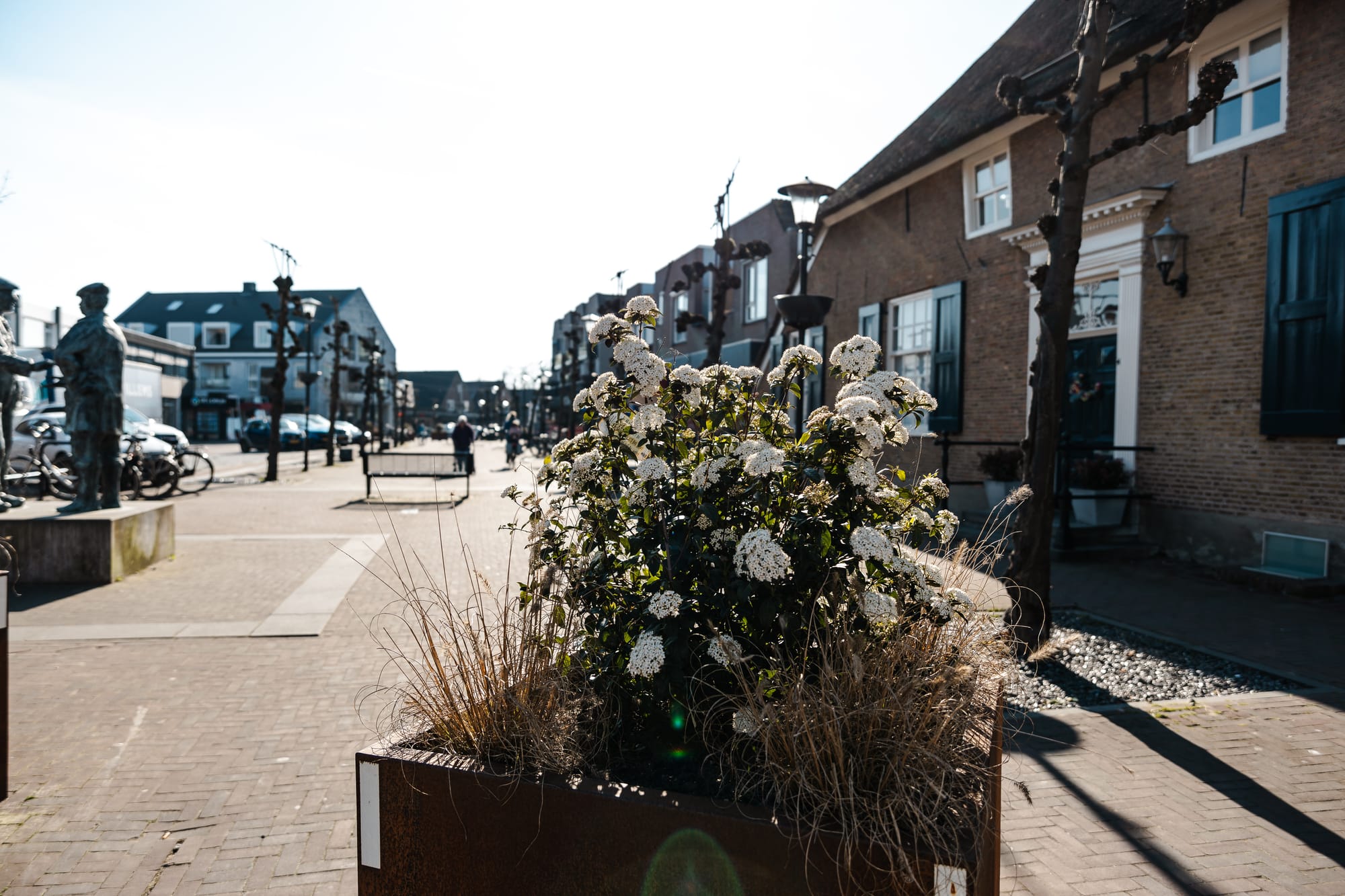 welkom-in-druten-voorjaar