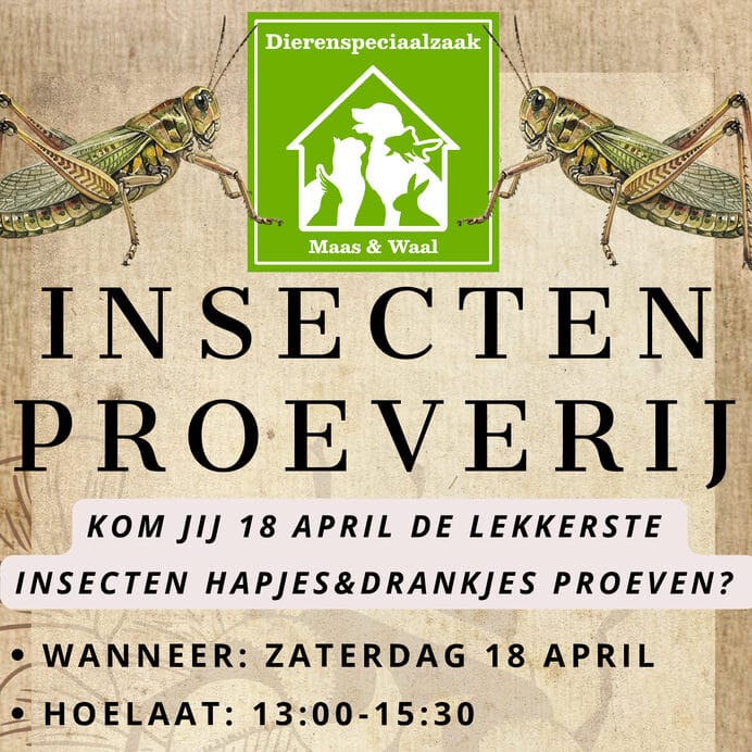 Insectenproeverij-flyer-crop