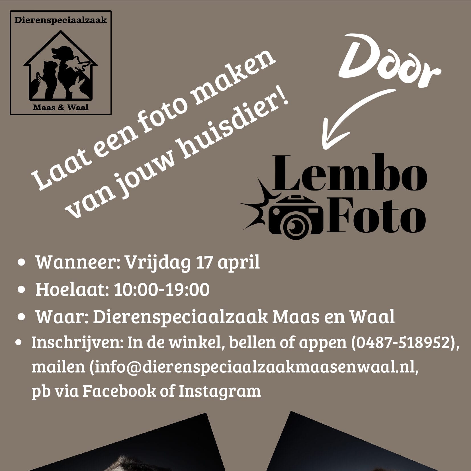 dierenfotograaf-dierenspeciaalzaak-maas-en-waal-crop