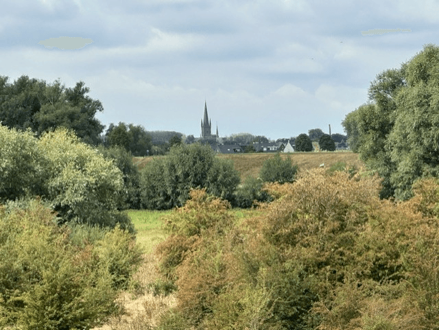 druten-groen-skyline